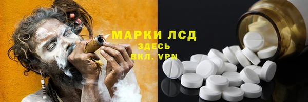 стаф Бородино