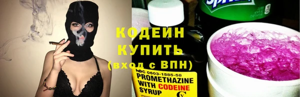 стаф Бородино