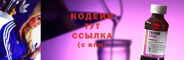 стаф Бородино
