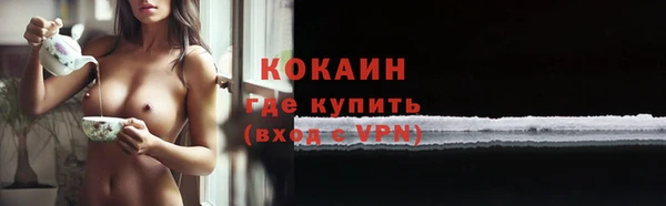 стаф Бородино