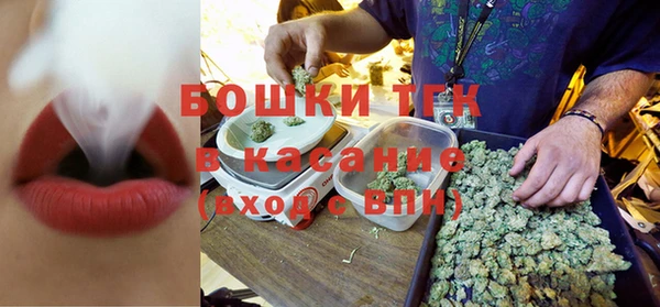 стаф Бородино