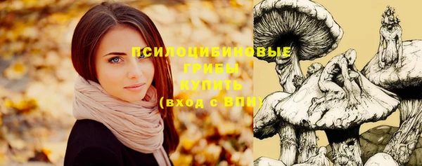 соль курить ск Бронницы
